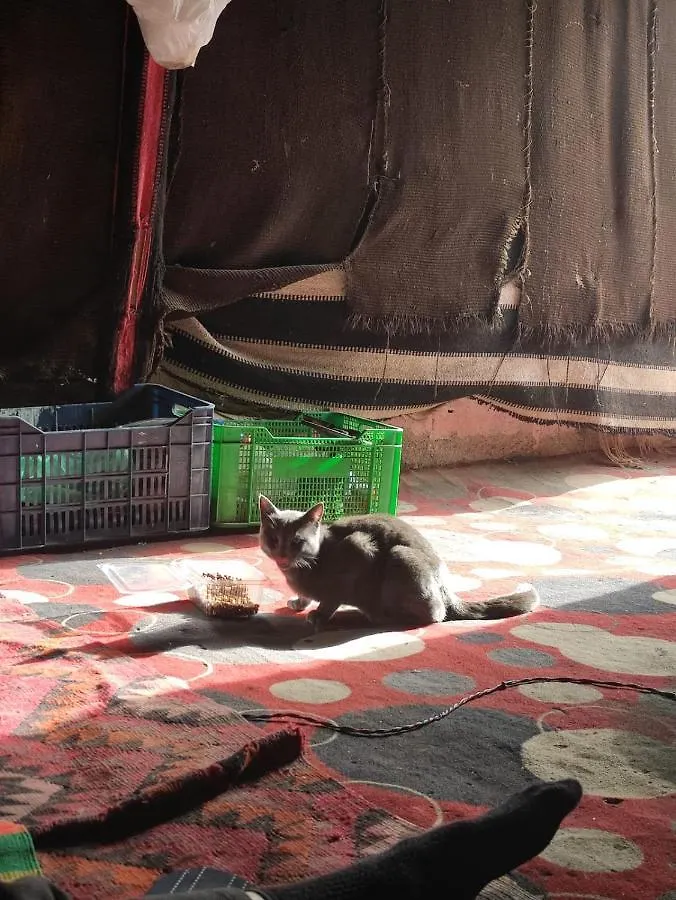 Bedouin Experiences Apartment Aqaba