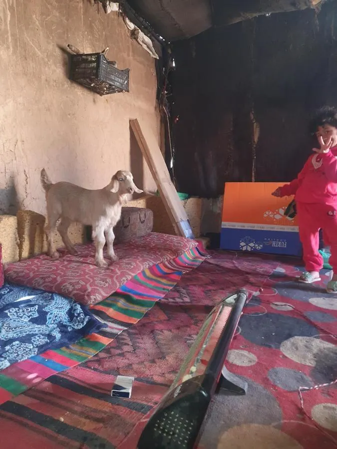 Bedouin Experiences Apartment Aqaba